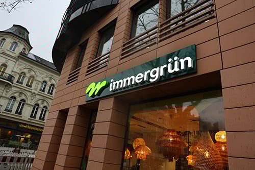Infobox_immergrün